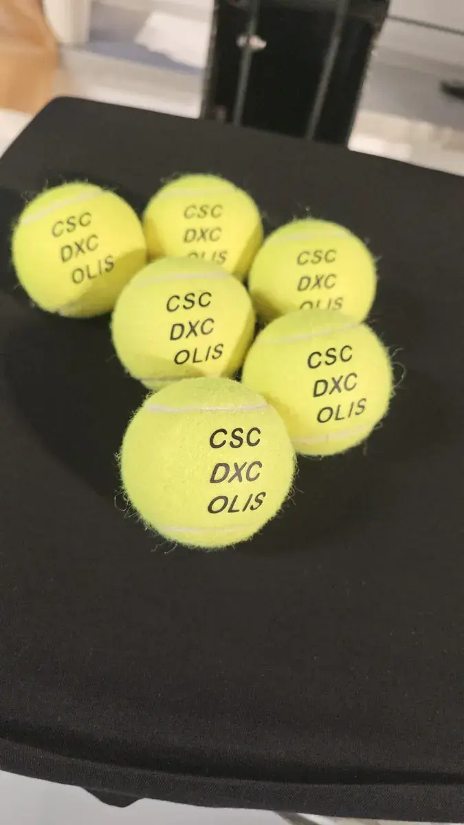Tennisbälle mit Logodruck