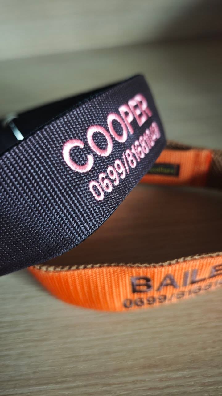 Hunde Halsband besticken lassen | Name & Telefonnummer auf dem Band |  Stickerei und Druckerei Wien